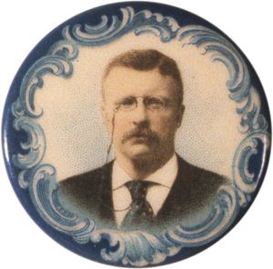 Theodore Roosevelt campaign button
